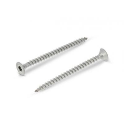 HOUTVIJS INOX A2 PK TORX 3.5X16
