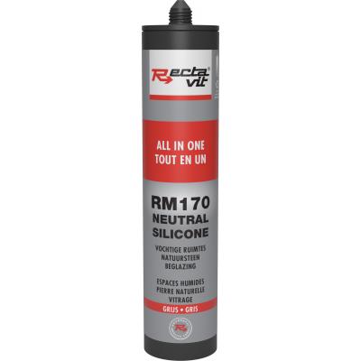 RECTAVIT RM170 ALL IN 1 310ML GRIJS