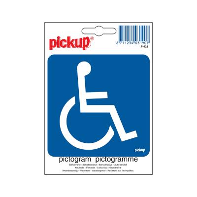 PICTOG ZELKL. 10X10 TOEGANG ROLSTOEL