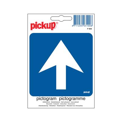 PICTOGRAM 100X100 P908 EENRICHTINGSVERK.