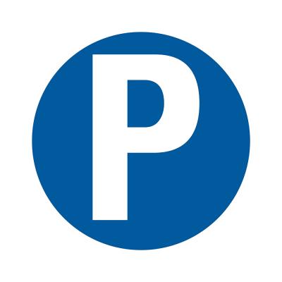 PICTOGRAM 300MM P (PARKING-PARKEREN)