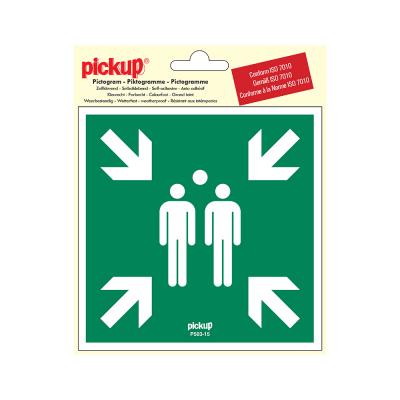 PICTO ZELFKL. 15X15 VERZAMELPL.BIJ CALAM
