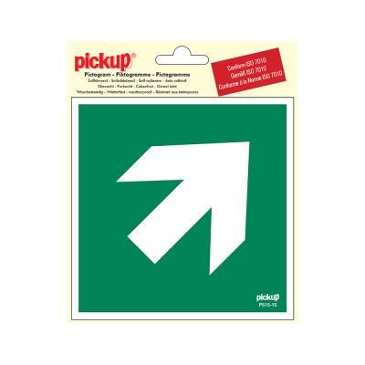 PICTO ZELFKL. 15X15 RICHT.PIJL GROEN 45º