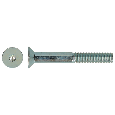 BINNENZESKANTBOUT 7991 VZ PK M12X70