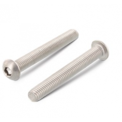LAAGBOLKOPSCHROEF 7380 INOX A2 M6X40