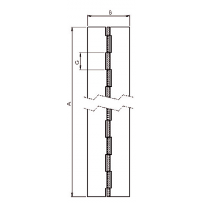 Charnière piano forte noeud roulé INOX 40MMX198CM 1.5MM non percée
