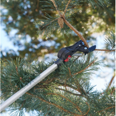 FELCO Coupe-branches télescopique (2320 - 4000 mm)