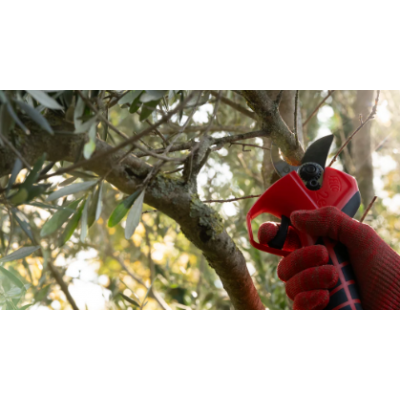 FELCO 2E SECATEUR ELECTRIQUE