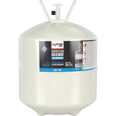 RECTAVIT 1039 BASIC SPRAY TRANSP. 22L.