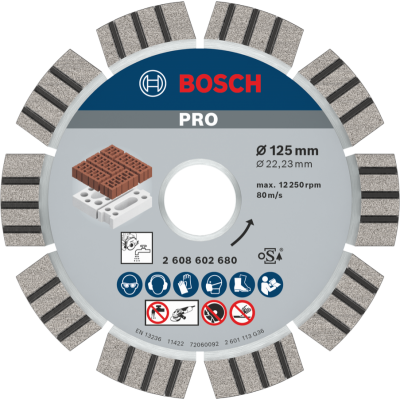 BOSCH Disque diamanté PRO Abrasive, 125 x 22,23 mm