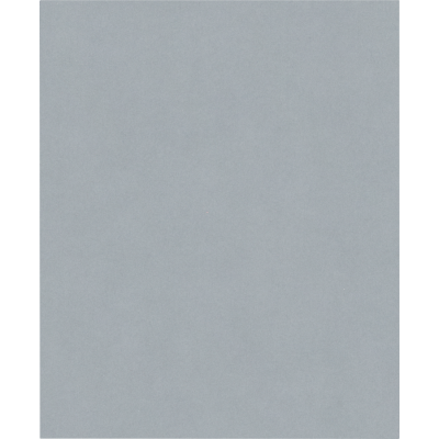 BOSCH Rouleau abrasif PRO C355, 230 x 280 mm, G320