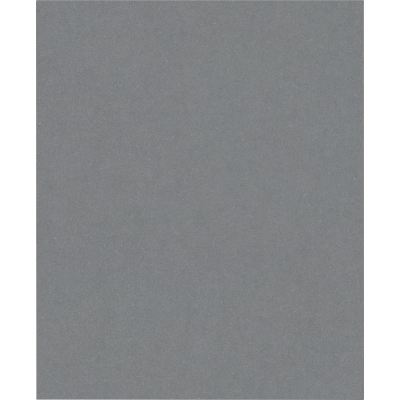 BOSCH Rouleau abrasif PRO C355, 230 x 280 mm, G600