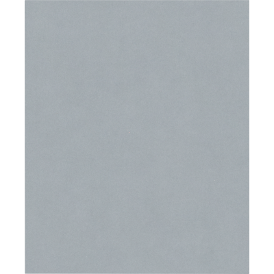 BOSCH Rouleau abrasif PRO C355, 230 x 280 mm, G1200