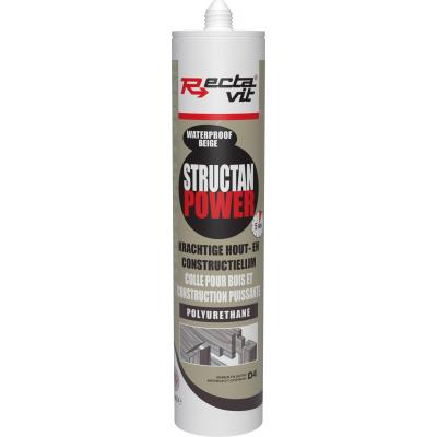 RECTAVIT STRUCTAN POWER D4 310ML