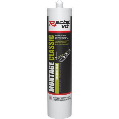 RECTAVIT MONTAGELIJM 100 310ML