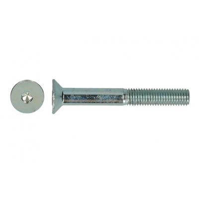 BINNENZESKANTBOUT 7991 VZ PK M8X40