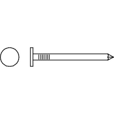 PLAFONNEERNAGEL 2X25 VZN/BLISTER