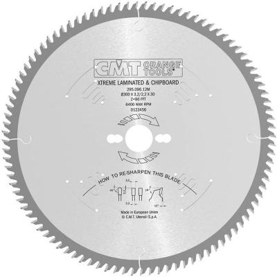 CMT ZAAGBLAD D=300 AS=30 Z=96 10º