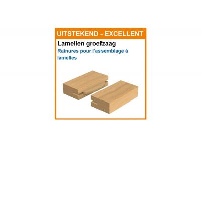 CMT LAMELLENZAAG D=100 AS=22 Z=22 15º