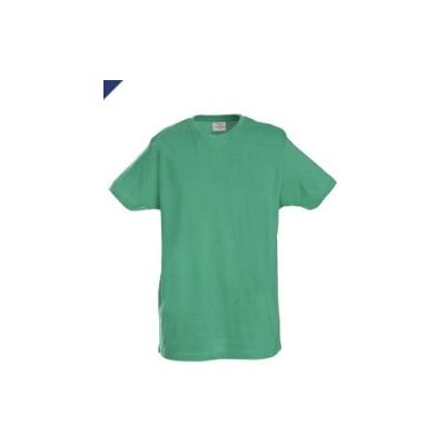 PRINTER T-SHIRT HEREN GROEN XXXL AOB