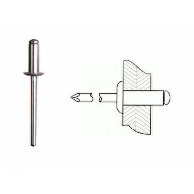 RIVET INOX 4.8X12 - SB50 IR141060