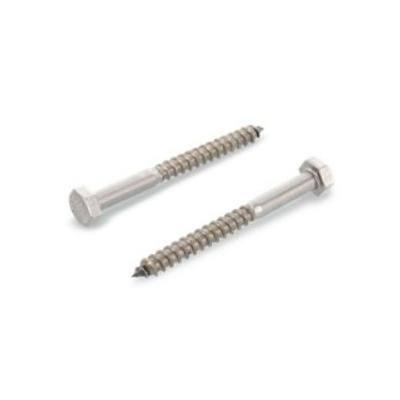 HOUTDRAADBOUT DIN571 INOX A2 6X60