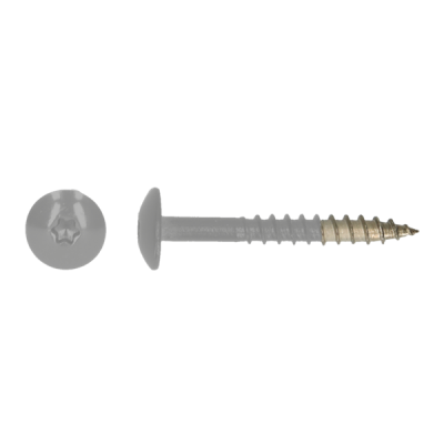 TRESPA VIS 4.8X38 T20 A2 RAL9006