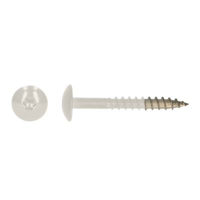 TRESPA SCHROEF 4.8X32 T20 A2 WIT