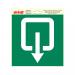 PICTOGRAM 200X200 P616-20 NORM.UITGANG