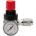 DRUKREGELAAR MICRO 1/4^ ORION 007006