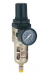 FILTERDRUKREGELAAR+MANO 1/4 25u 550L/M